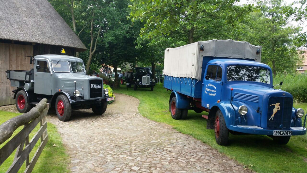 Mercedes LKW's und Kaelbchen