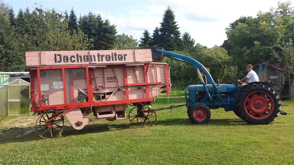 Dexta vor dem Dreschkasten