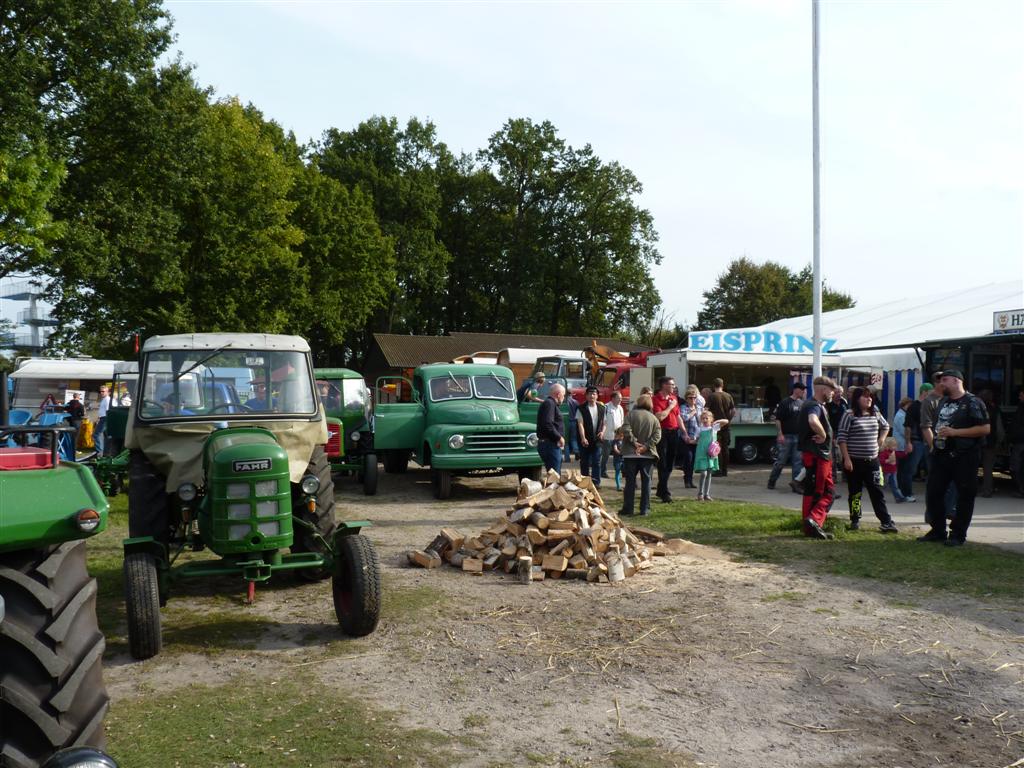 Feuerholz vorbereitet