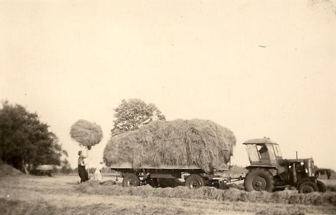 Ritscher bei der Heuernte