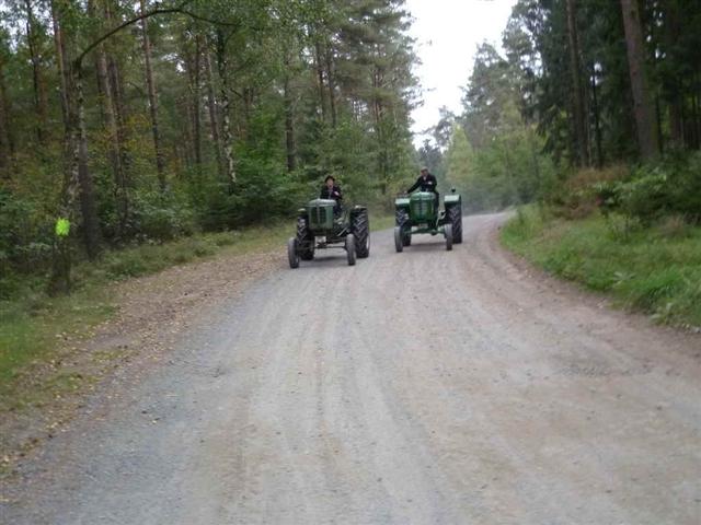 Formation im Wald