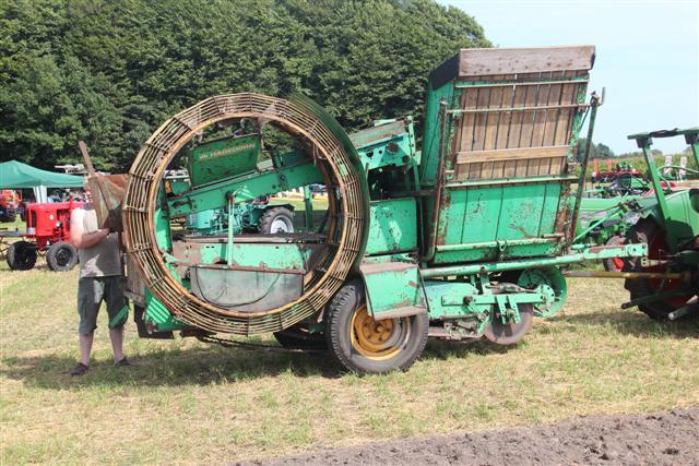 Hagedorn Wiesent