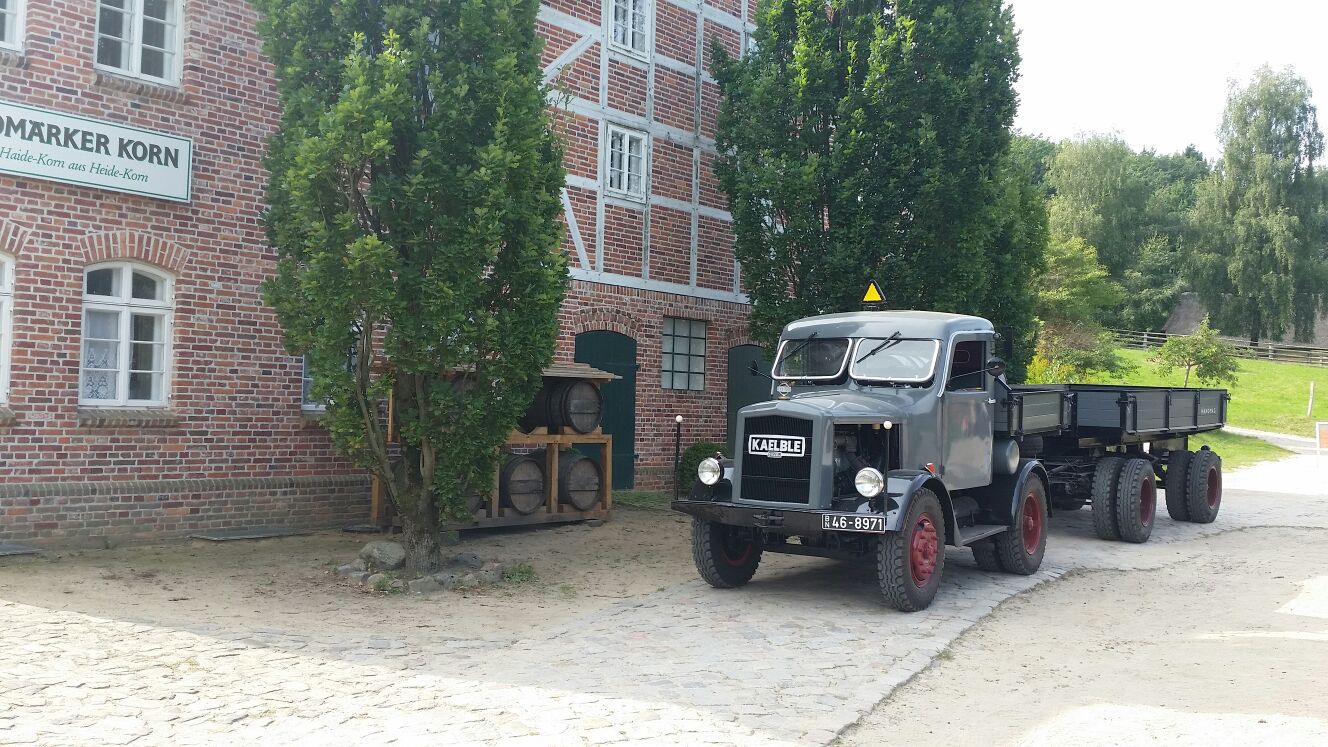 Kälbchen am Museum
