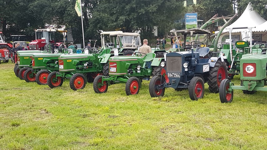 Wesseler Reihe