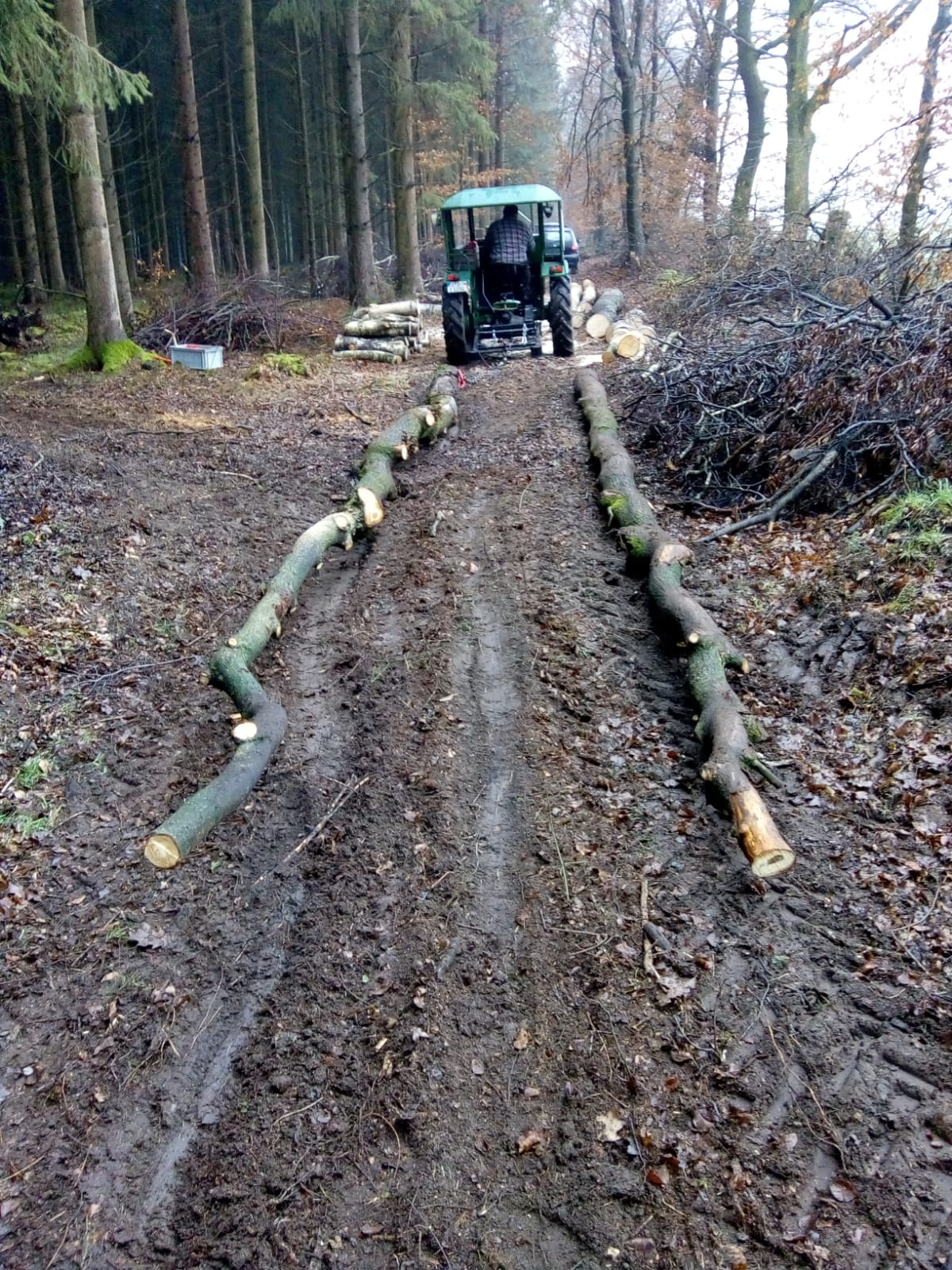 Ritscher 525 Baum schleppen