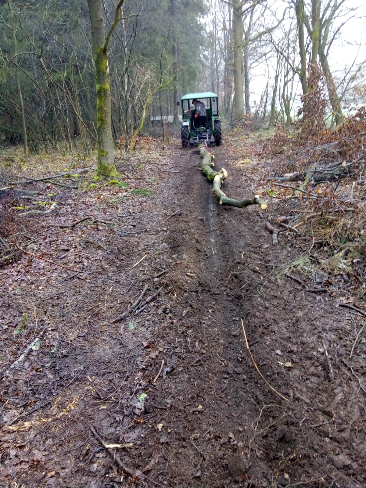 Ritscher 525 Baum schleppen