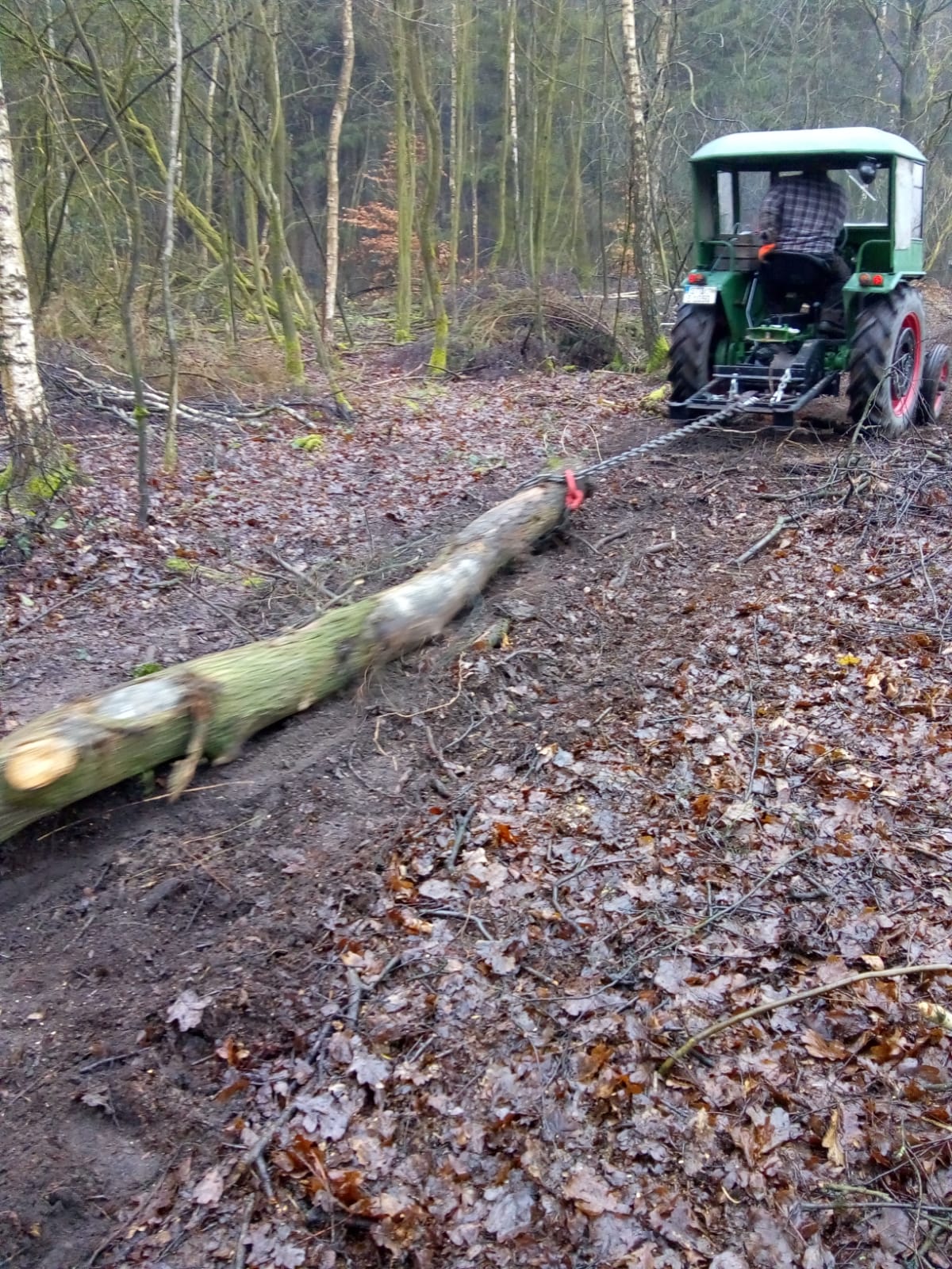 Ritscher 525 Baum schleppen