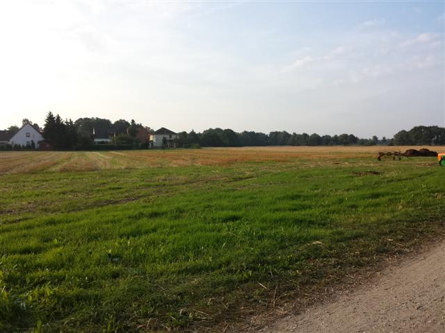 Ackerfläche am Freitag