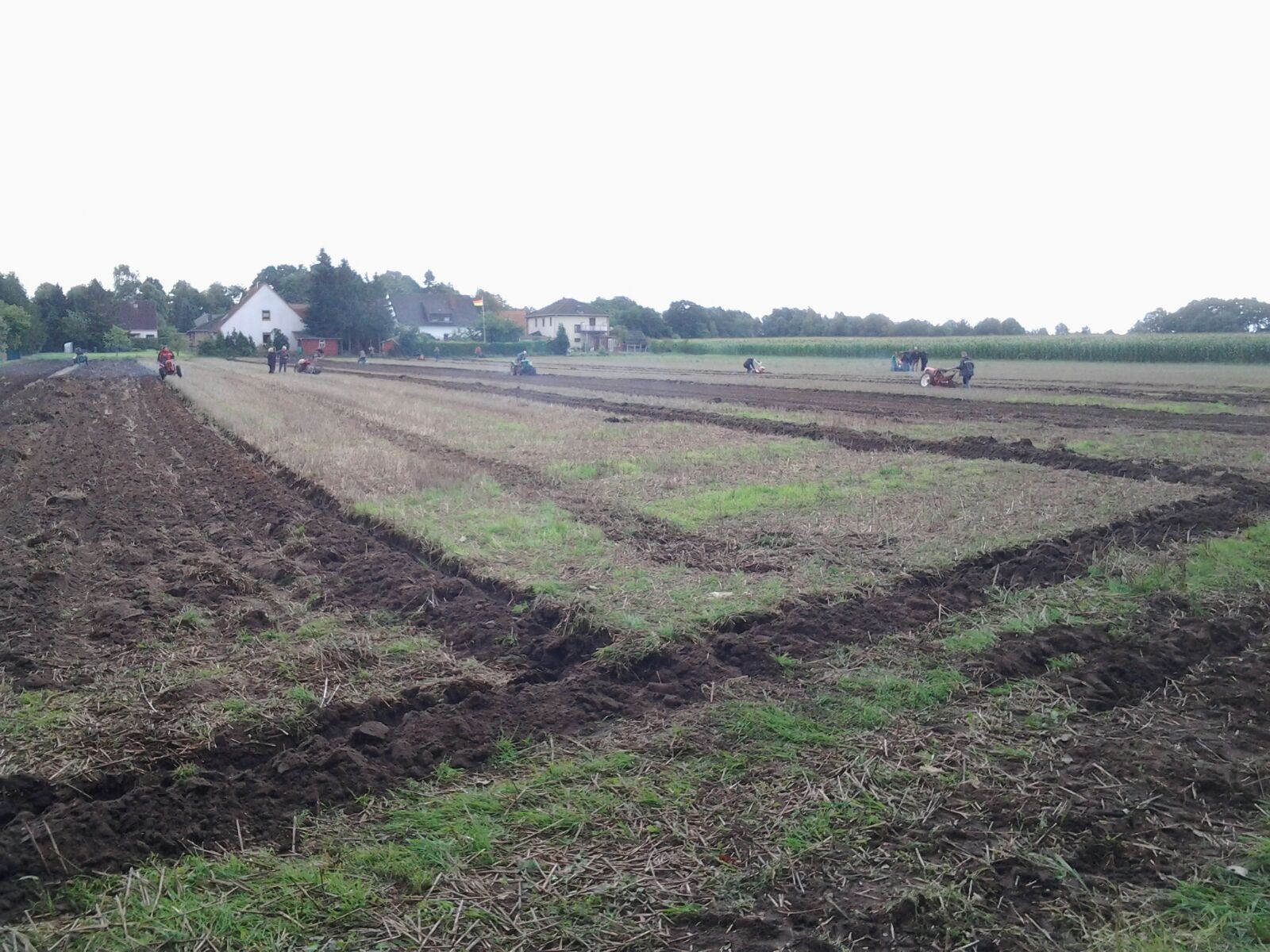 Action auf dem Acker