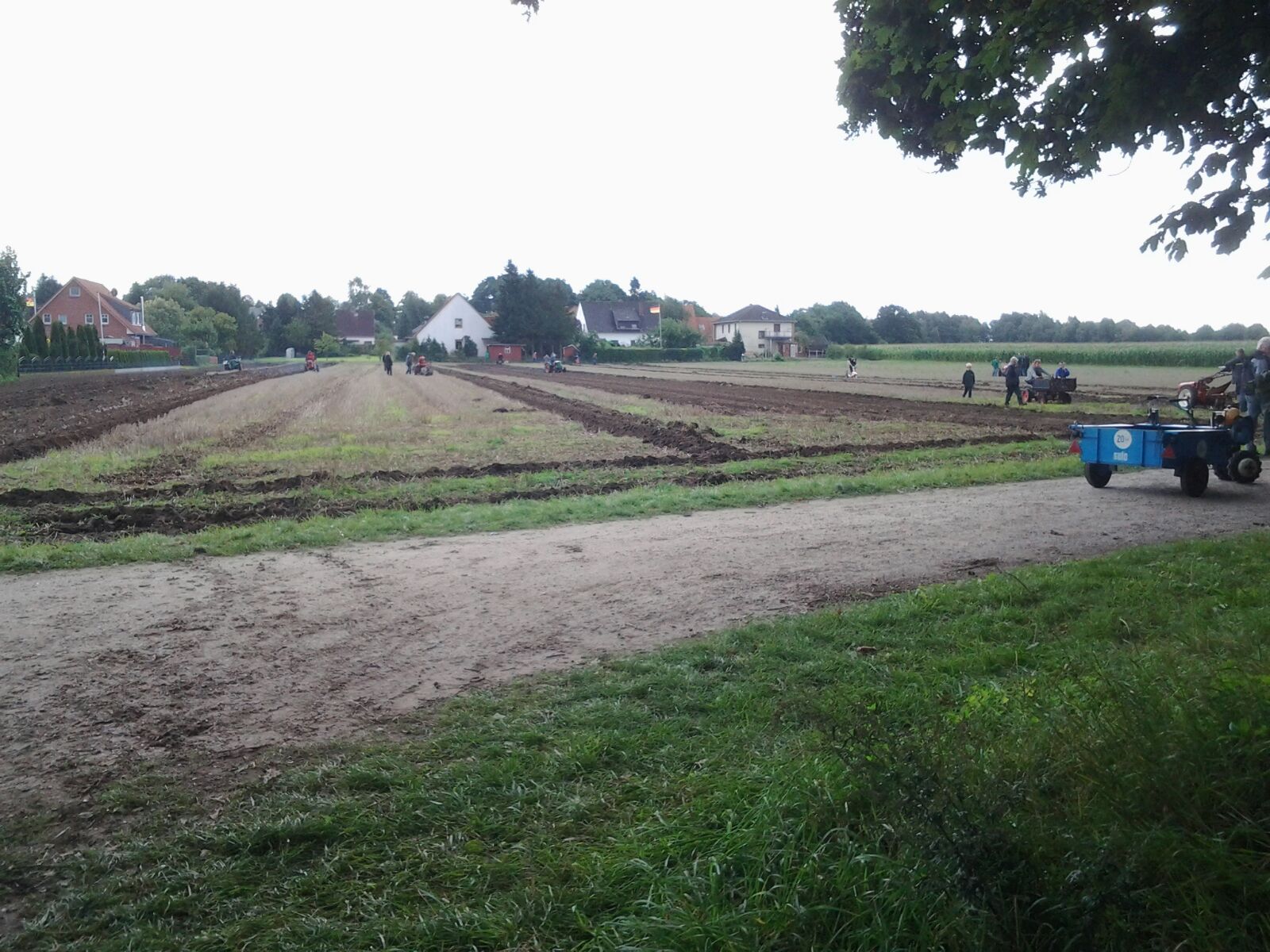Action auf dem Acker