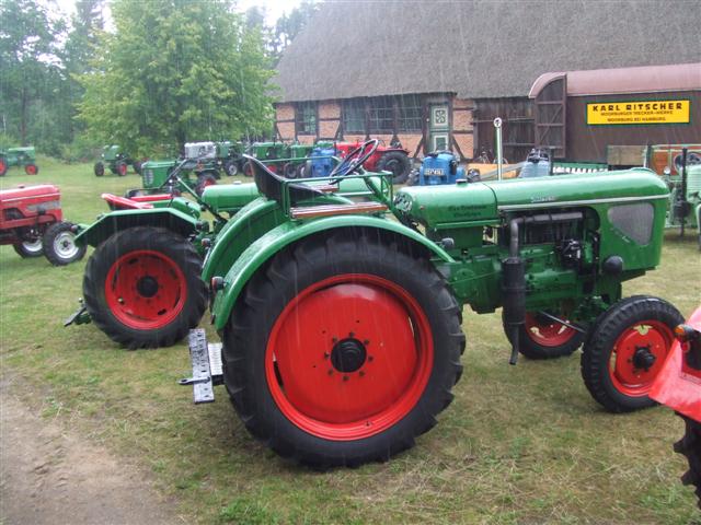 Hsseringen im Regen