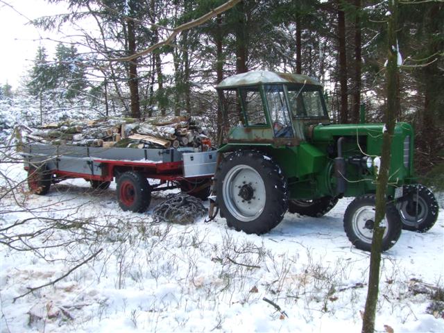 Ritscher mit Holzanhänger