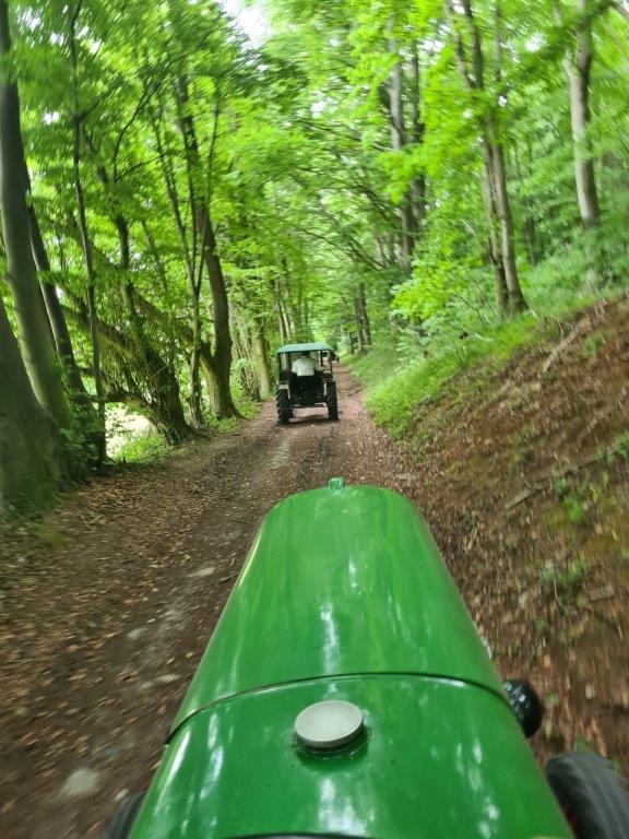 Waldfahrt